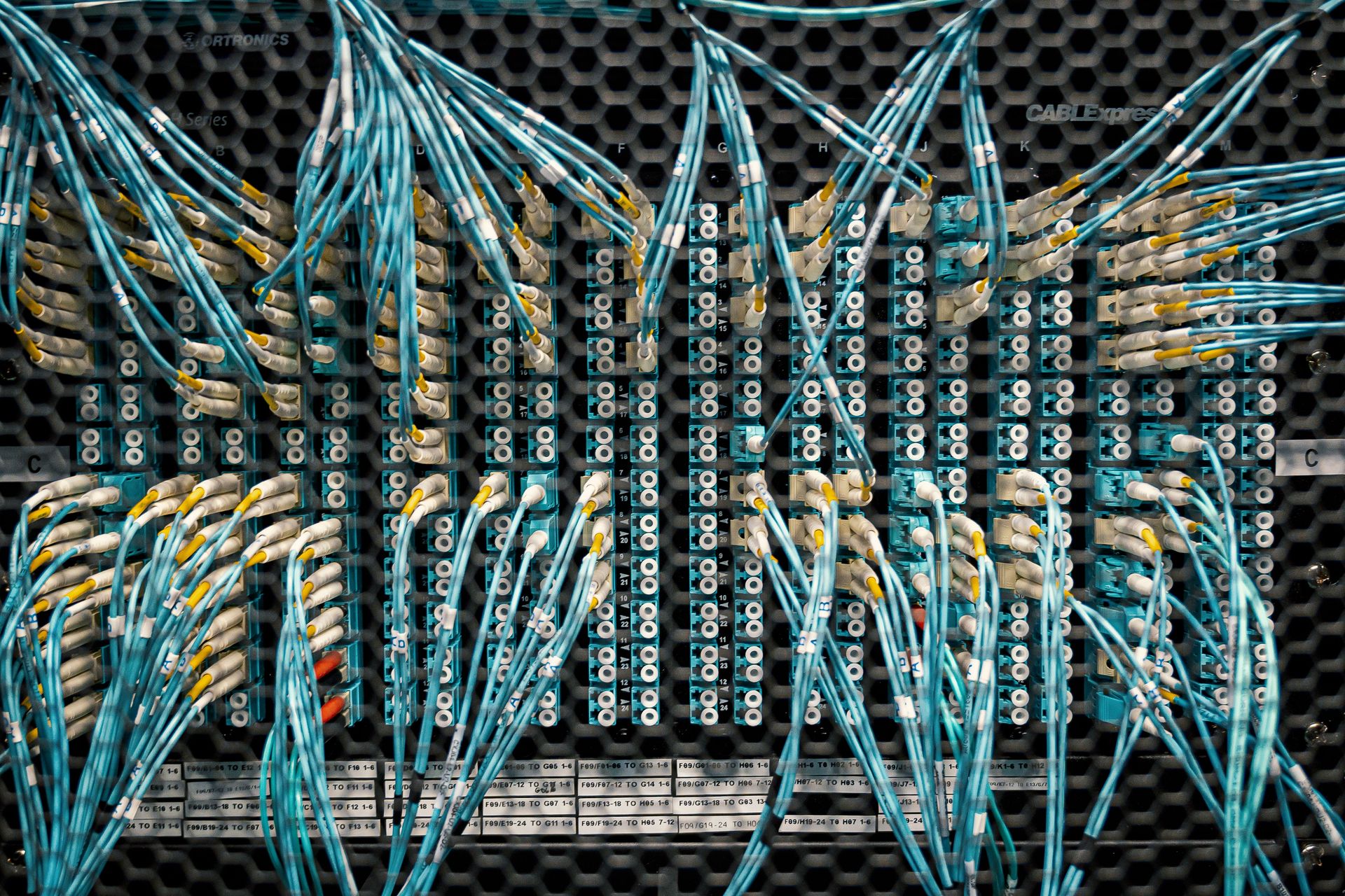 High-density structured data network cabling representing IT infrastructure.